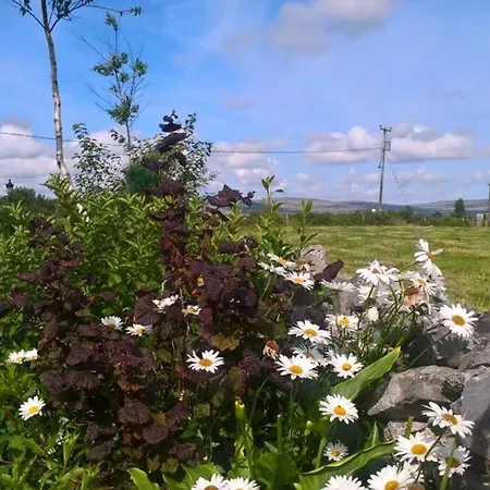 Дом отдыха The Burren Art Gallery Built In 1798 *