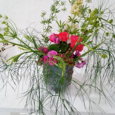 The Burren Art Gallery Built In 1798