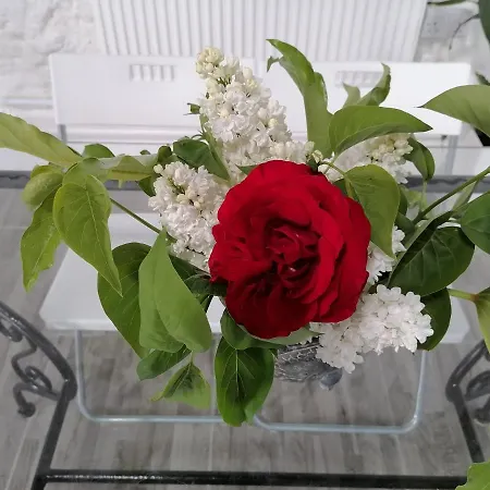 Nyaraló The Burren Art Gallery Built In 1798 Tubber