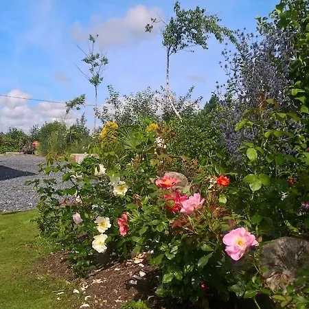 The Burren Art Gallery Built In 1798 Tubber